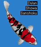 ** PLEASE DESCRIBE THIS IMAGE **